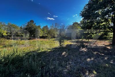 Doua casa de vanzare, teren intravilan 1773 mp, zona Stolojani - 7