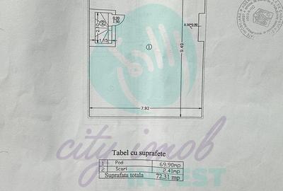 Casa in Vatra Luminoasa cu o curte generoasa - 17