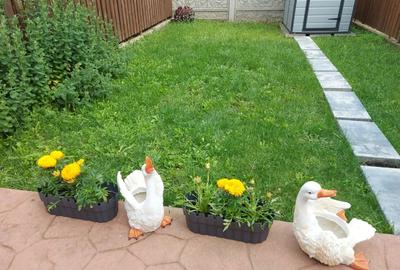 Casă cu 4 camere în Dumbrăvița