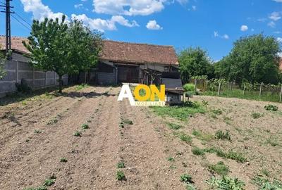 Casă traditională, 3 camere, 1766 mp teren, la asfalt, Vintu de Jos - 5