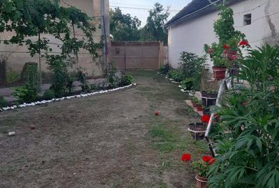 Casă cu 6 camere cu Teren 1401 Mp în Alioș - 10