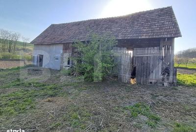 Casă cu 4 camere în Nandra - 8