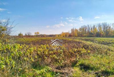 Teren si constructie demolabila, Ghioldum, Cocorastii Colt Teren si constructie demolabila, Ghioldum, Cocorastii Colt - 15