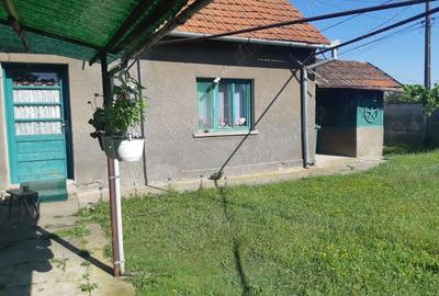 Casă cu 5 camere în Gavojdia - 2