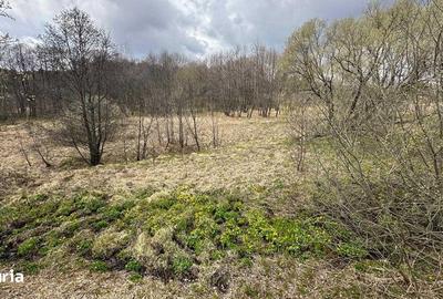 Teren de 2877 mp, în Brebu - 3