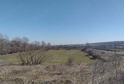 Teren de 20000 mp, în Valea Ursului (Tâmna) - 9