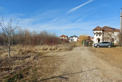 Loc pentru casa cu utilitati la 500m de padure, Ciofliceni - Snagov! Loc pentru casa cu utilitati la 500m de padure, Ciofliceni - Snagov! - 1