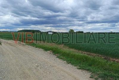 Teren intravilan de 31900 mp, în Corbeanca - 3