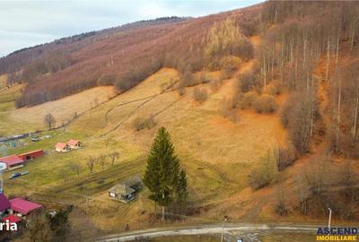 Teren de 5425 mp, în Vama Buzăului - 10