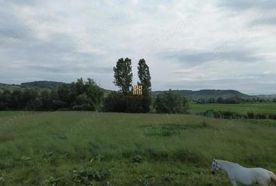 Teren de 3953 mp, în Fălticeni - 6