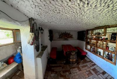 CASA D+P+M aprox 150mp cu teren 308mp! - 11