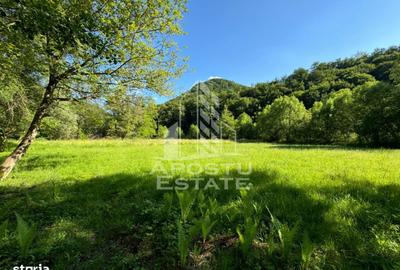 Spațiu comercial, în Groș - 2