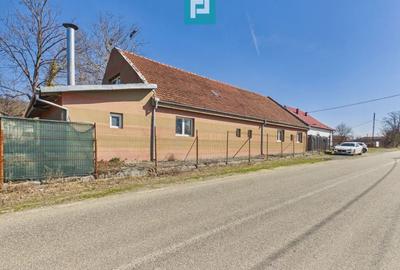 Casă individuală cu 8 camere cu Canalizare în Maciova - 1