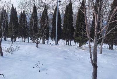 Proprietate cu suprafata de 7500 m2edificabil - 4