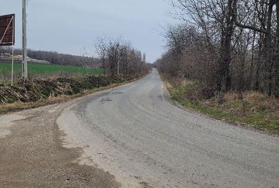 Teren de 17000 mp, în Ghizdaru - 1