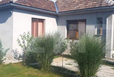 Casă cu 4 camere cu Teren 1478 Mp în Lazuri - 8