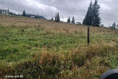 Spațiu comercial, în Poiana Stampei - 2