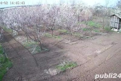 Casă cu 5 camere cu Teren 2600 Mp în Conțești - 9