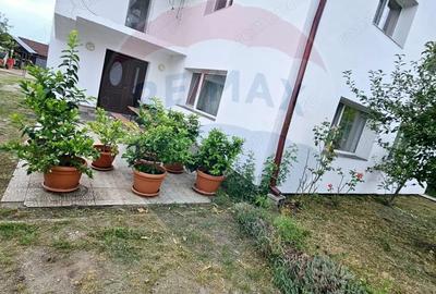 Casă cu 5 camere cu Teren 3072 Mp în Cicârlău - 5