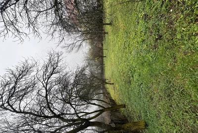 Se vinde casa parinteasca sat. Vechea com. Chinteni - 9