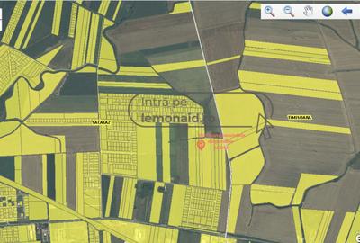 Oportunitate investiție - Teren 2HA - Săcălaz - Centură Vest - Comision 0 - 3
