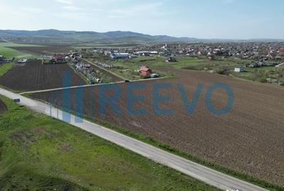 Teren de 3626 mp, în Nicolae Bălcescu - 4