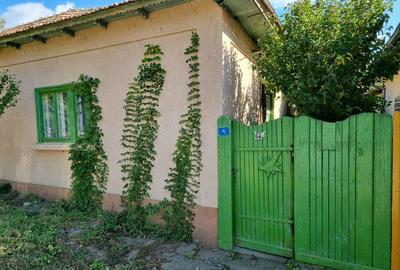Casă cu 2 camere cu Teren 466 Mp în Cerna - 10