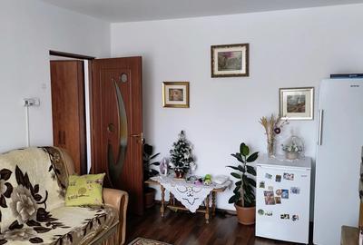 Apartament 2 camere Cioclovina - 7