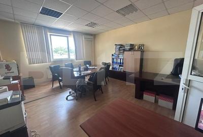 Birou, de 480 mp, în Brazda lui Novac - 8