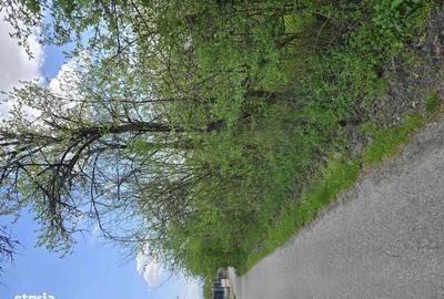 Spațiu comercial, în Ulieș - 2