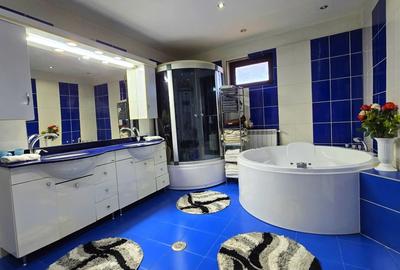 Vila ta aproape de natura – 8 camere, Lacul Pasarea - 65