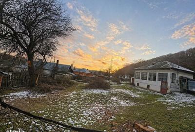 Spațiu comercial, în Nămăești - 10