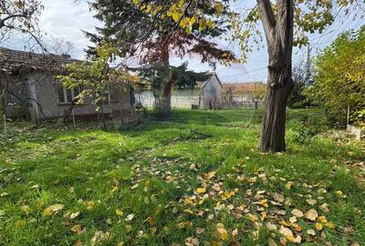 Teren de vanzare in Valu lui Traian, Calea Dobrogei - 4