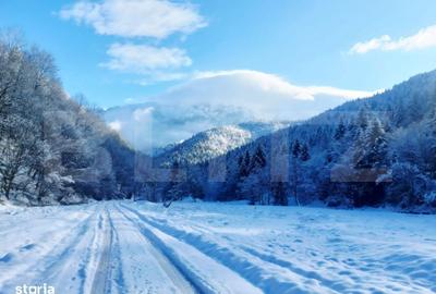 Spațiu comercial, în Central - 4