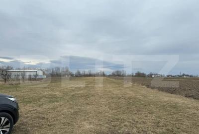 Teren de 5200 mp, în Central