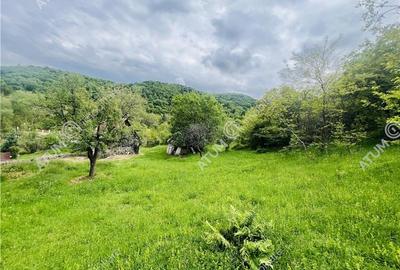 Teren intravilat de 1811 mp situat in Sibiel judetul Sibiu - 9