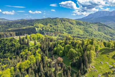 Teren intravilan cu potential turistic si de agrement, zona Trei Brazi - 10