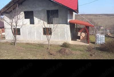 Casă cu Teren 1700 Mp în Erbiceni - 1