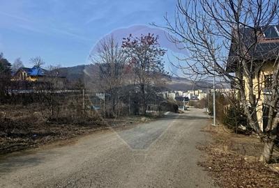 Teren Construcții intravilan de 1000 mp, în Calea Romanului - 7