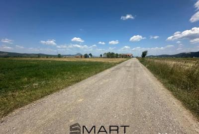 Teren de 5000 mp, în Râșnov Romacril - 3