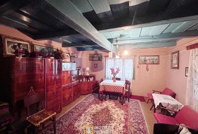 Teren de 3252 mp, în Tauț - 7