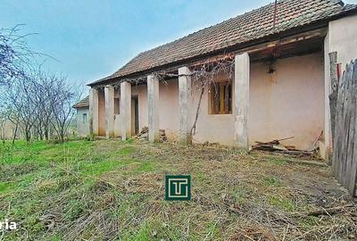 Casă cu 2 camere cu Teren 1440 Mp în Secusigiu - 3