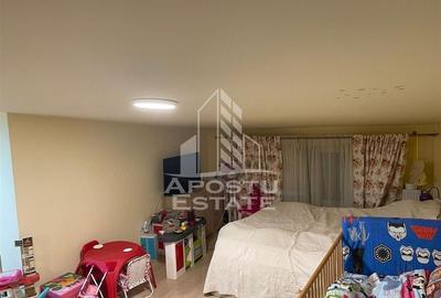 Penthouse cu 4 camere pe 2 nivele In Giroc langa scoala. - 14