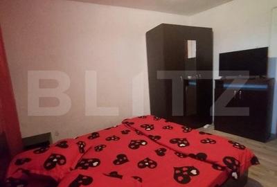 Casa 4 camere, 70mp, mobilat/utilat, zona Facultatii de Medicina - 6