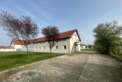 Inchiriez spatii comerciale si industriale in Dumbravita - 9