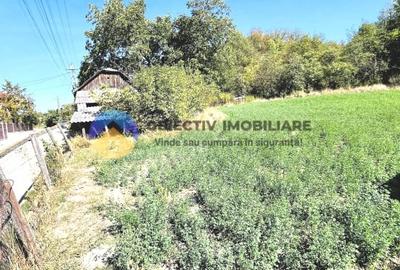 CASA + teren intravilan,  comuna BODESTI - 5