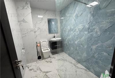 Vila premium cu destinatie mixta, comercial si rezidential - 18