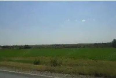 Teren cota parte 1/6, Branistea, ID: R2757177 - 3