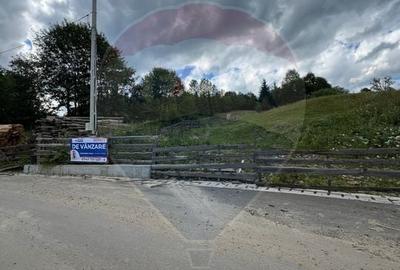Teren 4397 mp Intravilan  Manastirea Humorului / Lunga Bucovina - 9