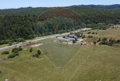 Teren de 5561 mp, în Paltin - 17